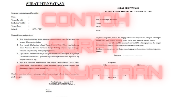 Contoh Surat Pernyataan Yang Kadang Orang Tidak Tau! Mari Kita Simak Penjelasan Berikut!